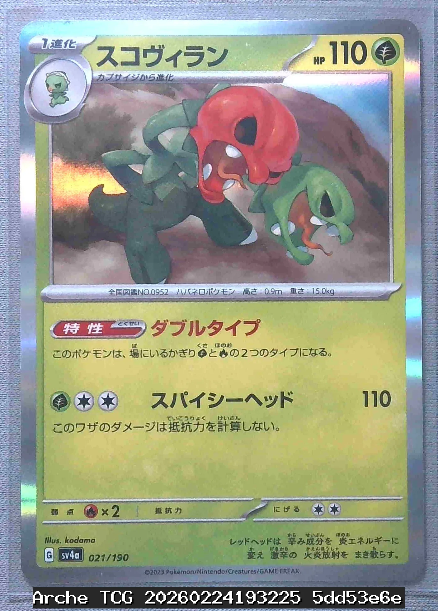 スコヴィラン  状態:NM