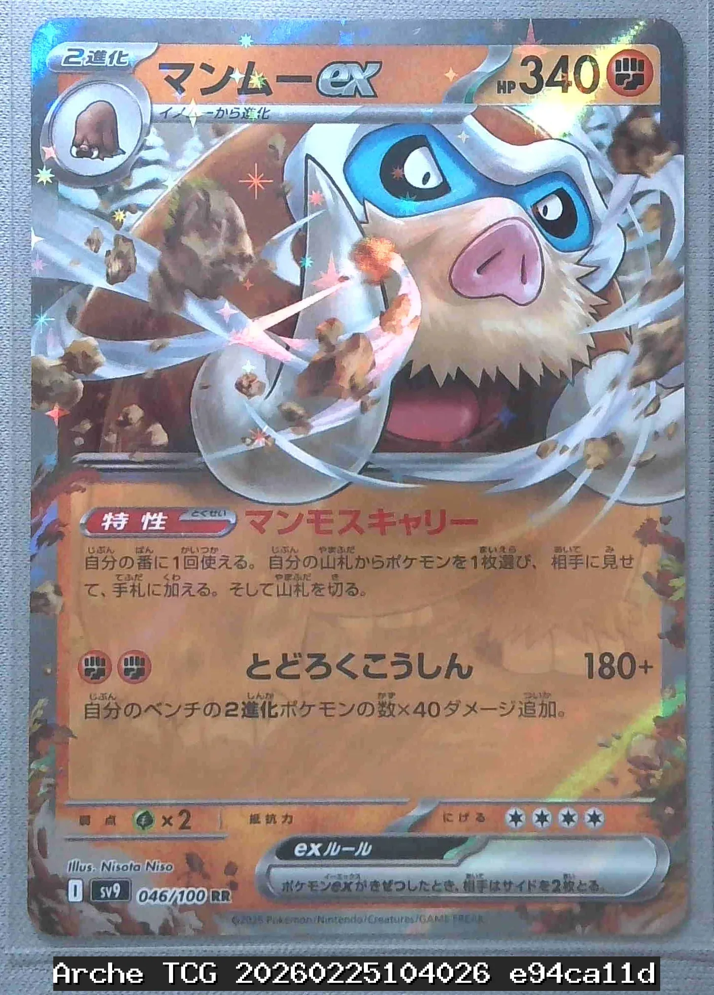 マンムーex RR 状態:NM