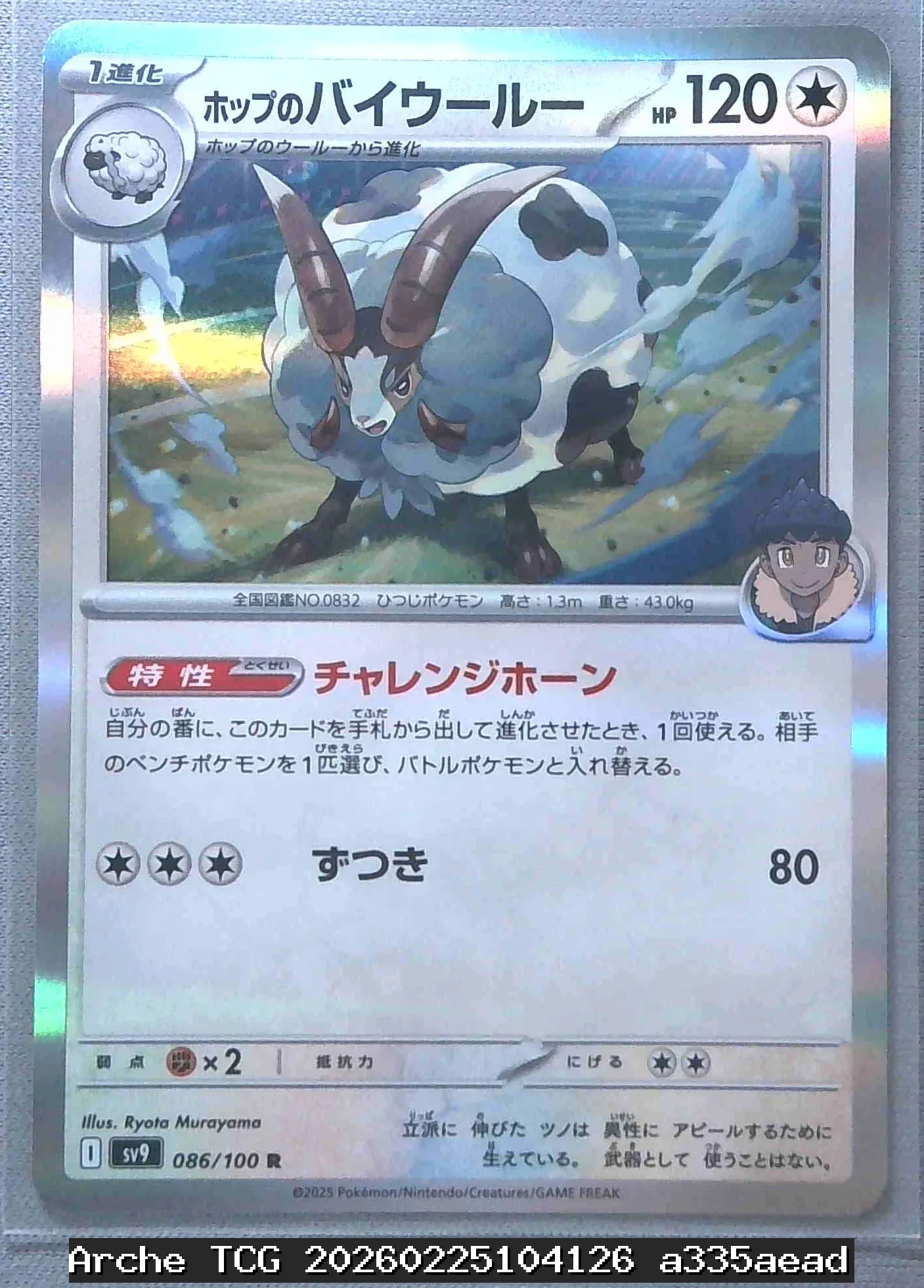 ホップのバイウールー R 状態:NM