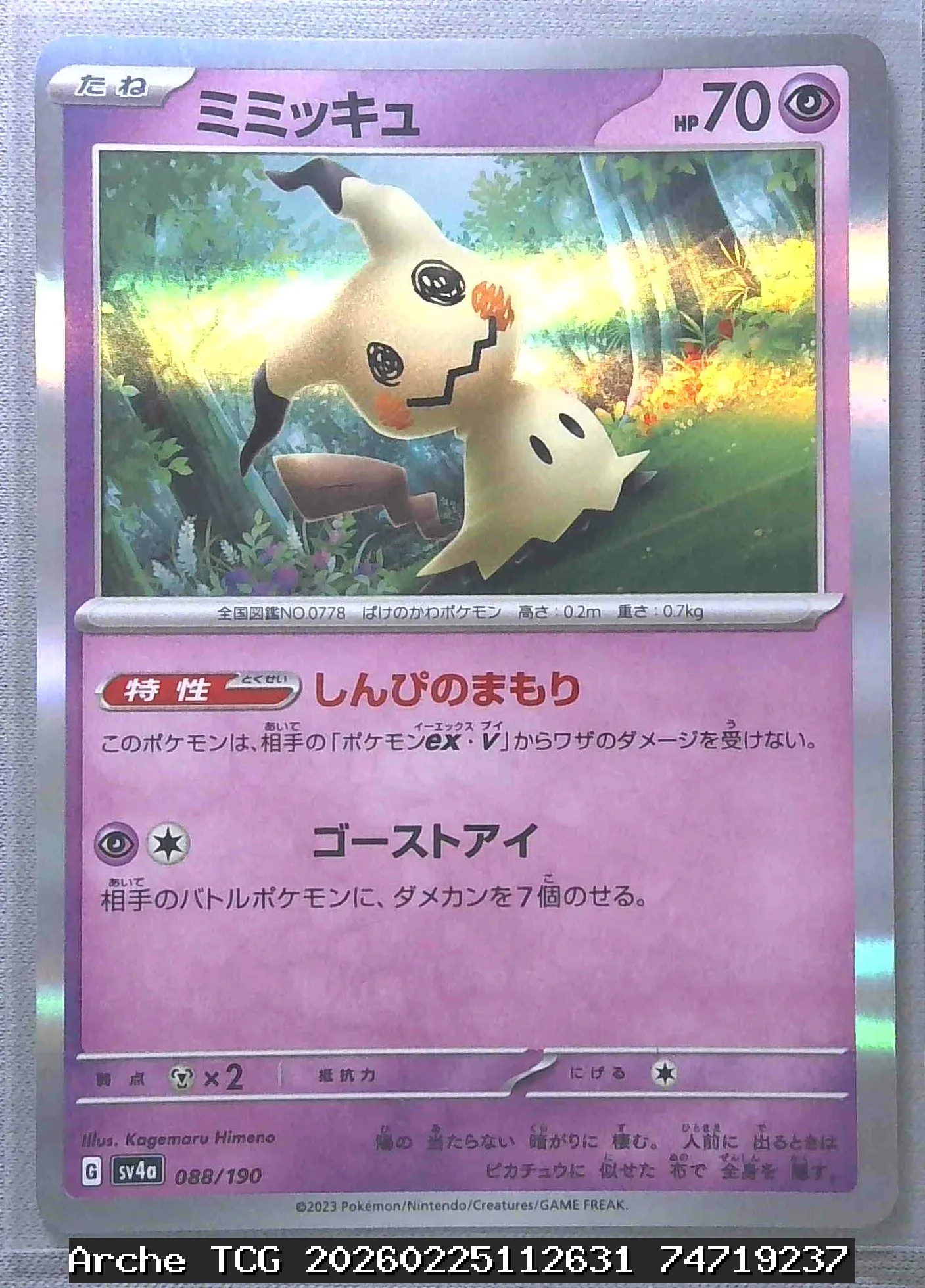 ミミッキュ  状態:NM